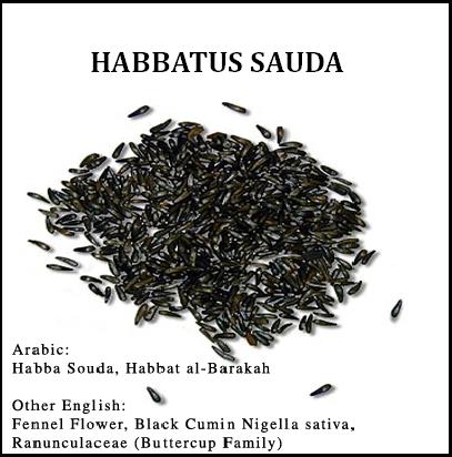 Sauda khasiat habbatus Habatussauda: Manfaat
