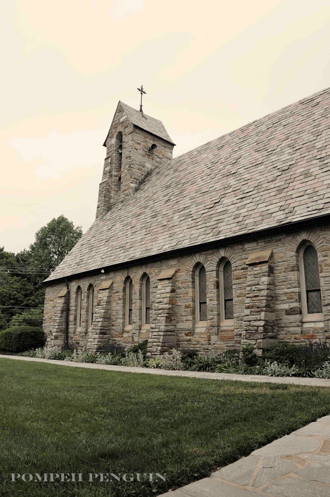Pompeii Penguin Attempting to Fly Glyndon