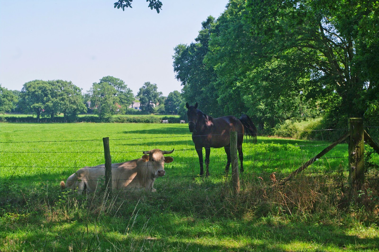 rencontre a ambrieres