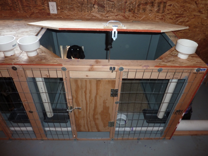 The Real APBT Dog Kennel Setups and Designs