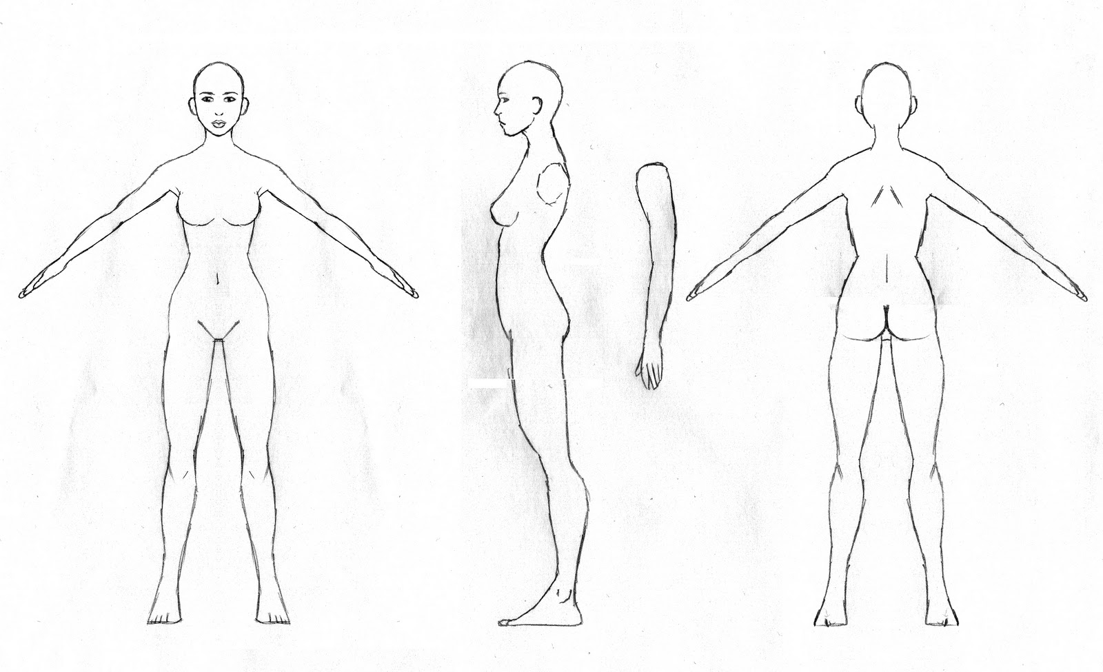 character model template
