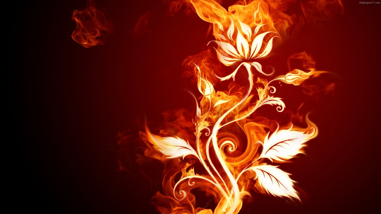 Abstract Wallpapers:wallpapers screensavers