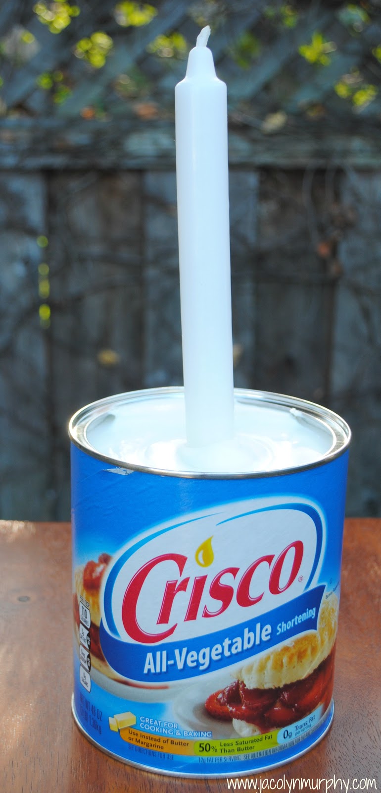 Jac o' lyn Murphy An Out of this World (not End of the World) 80th