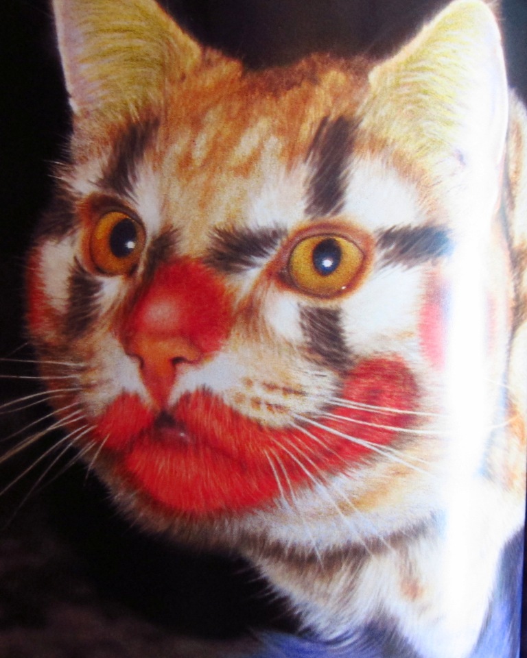 why cats are awesome essay Studies show just watching cat videos on the internet boosts positive emotions browse our claw-some cat facts & trivia to see what makes cats so special. why cats are awesome essay Studies show just watching cat videos on the internet boosts positive emotions browse our claw-some cat facts & trivia to see what makes cats so special.