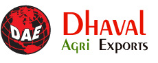 Dhaval Agri Exports