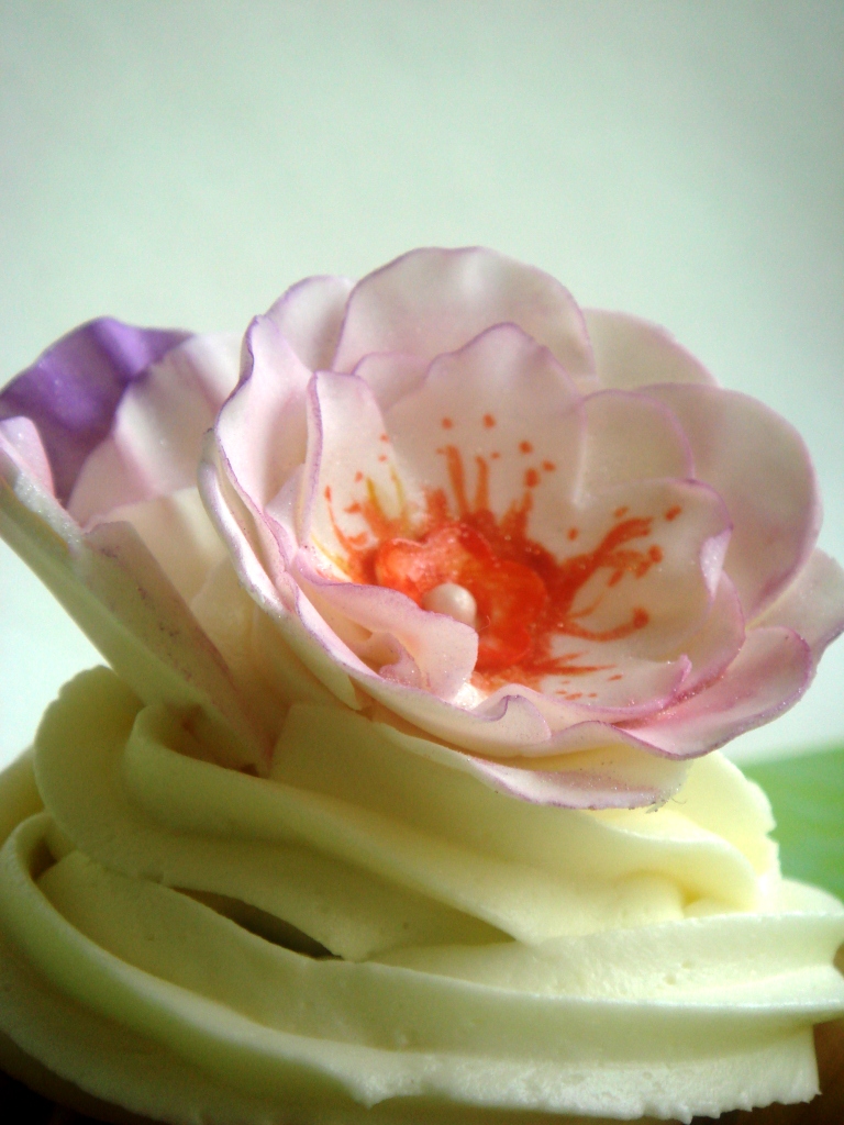 The Borrowed Brushstroke Tutorial Tuesdays How to make a Sugar Flower