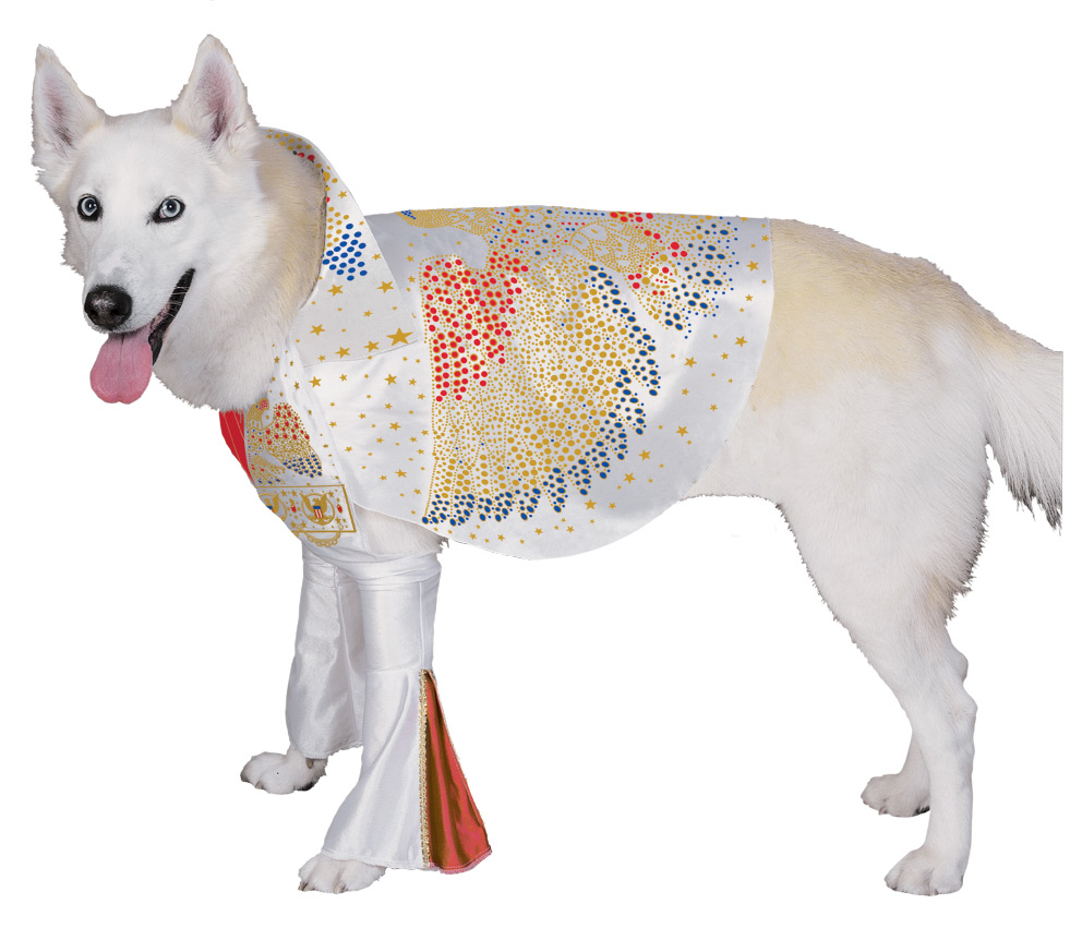 National Dress Up Your Pet Day Style Of Doggie Dress Up