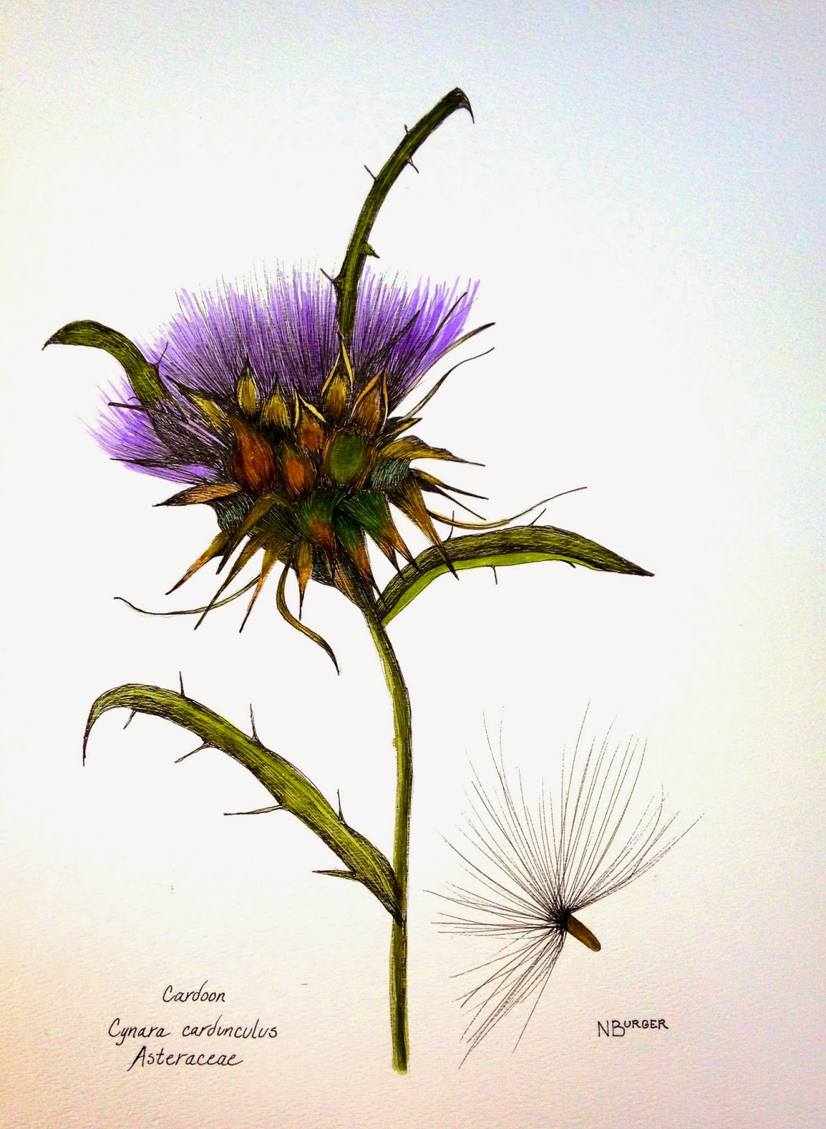 You Could Make That ARTICHOKE THISTLE No. 2