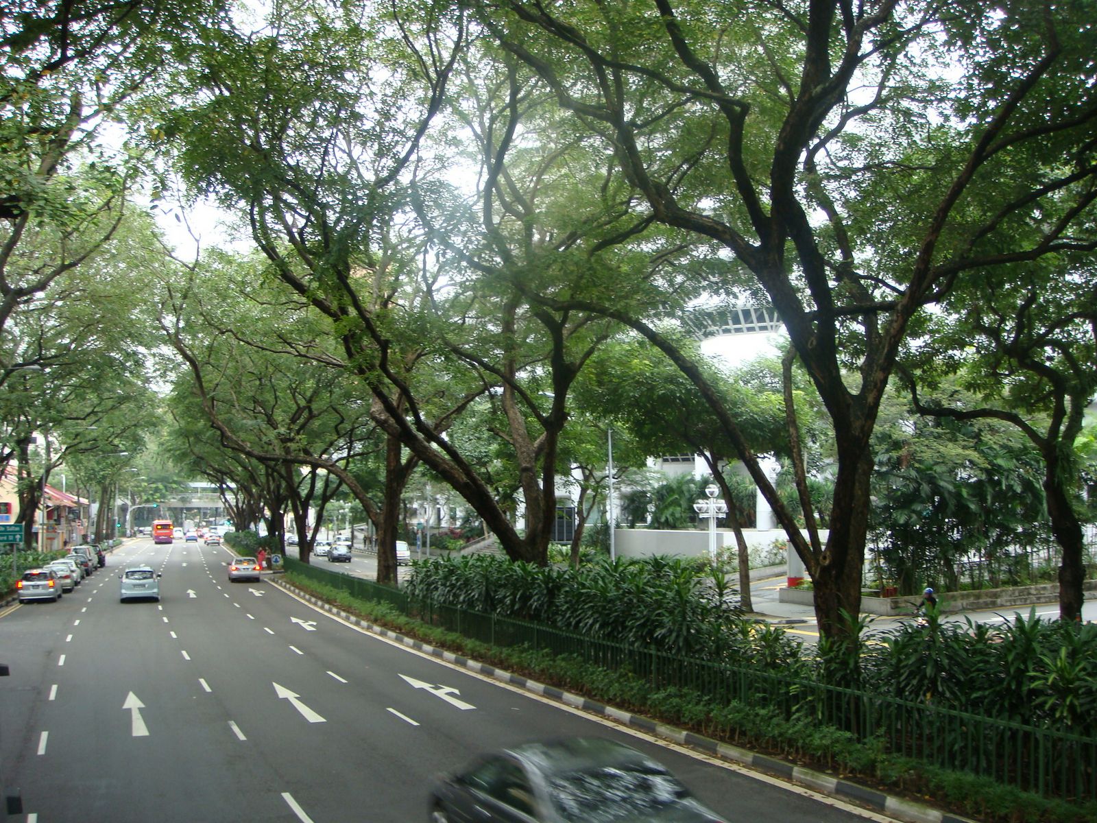 Green City