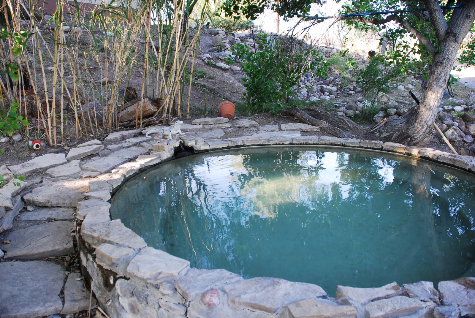 Texas Mountain Trail Daily Photo: Cool places for hot days! Chinati Hot