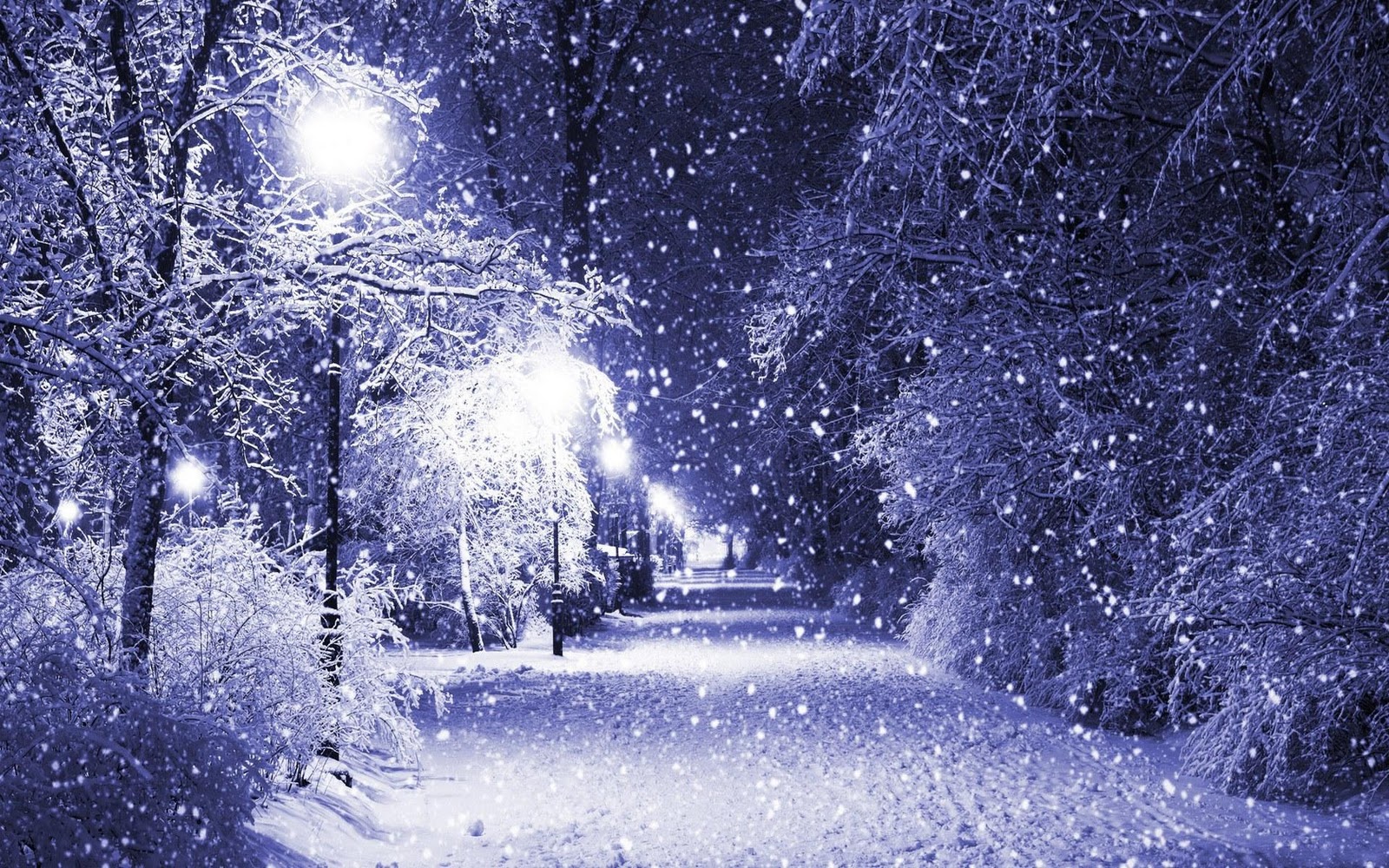 Winter's Night Winter's Night