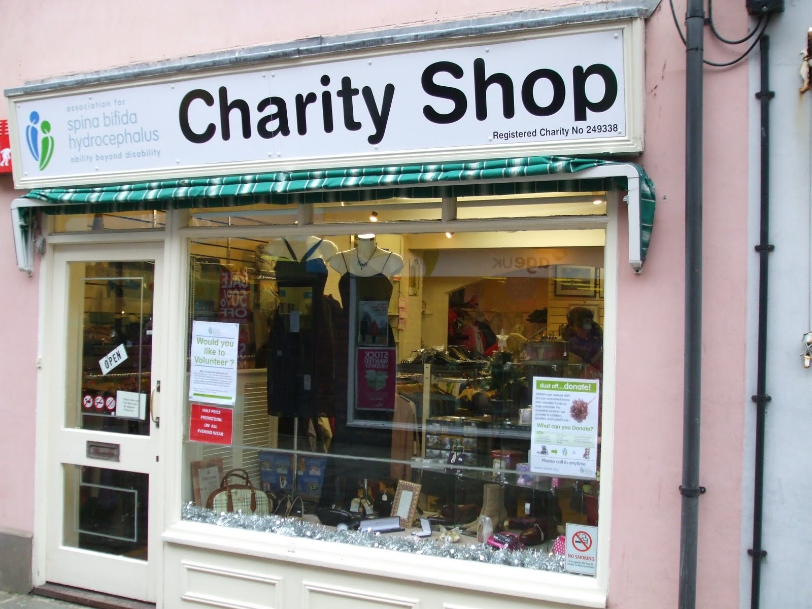 Beauty of life November 2010