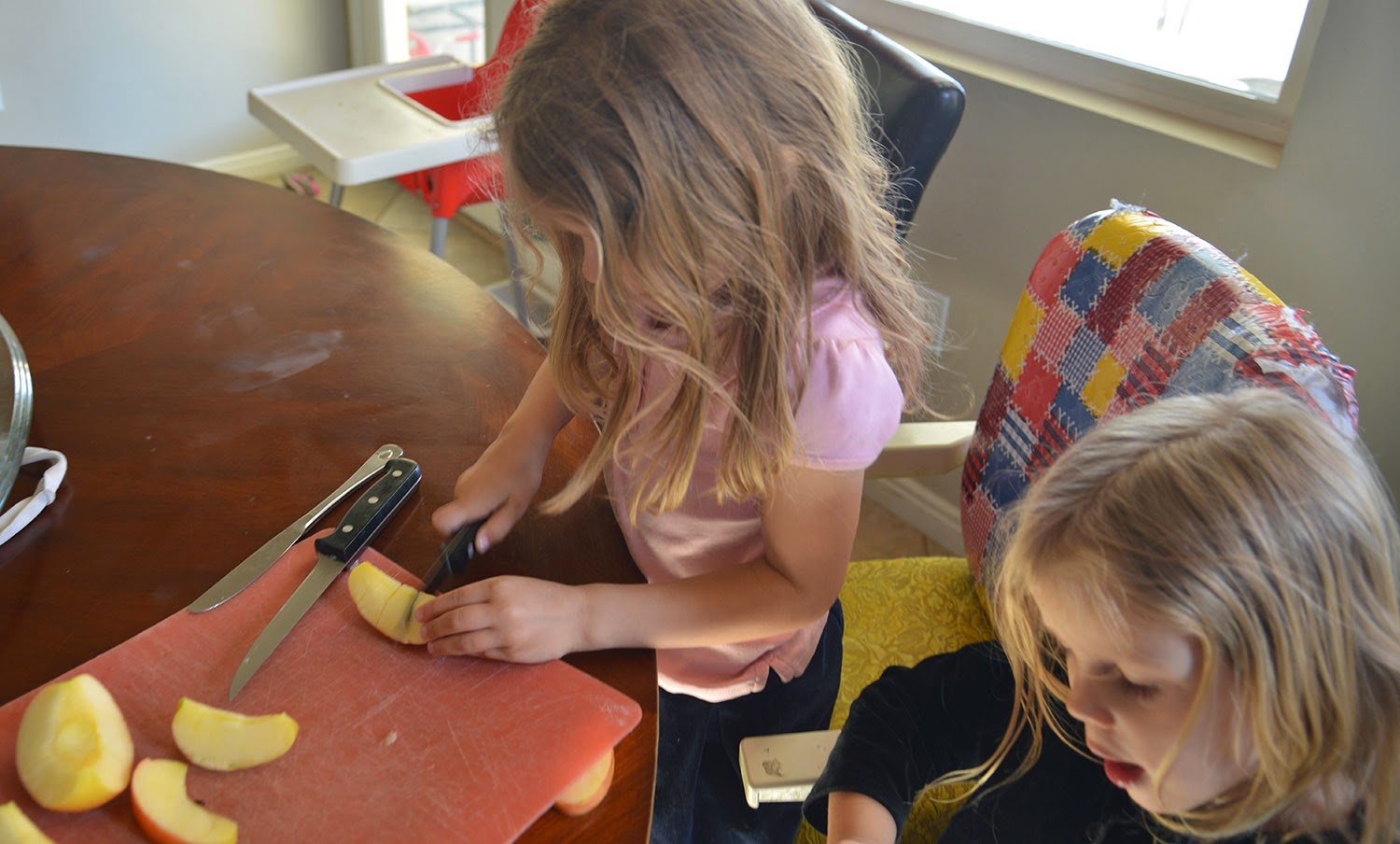 A school of fish Simple Machines Wedges