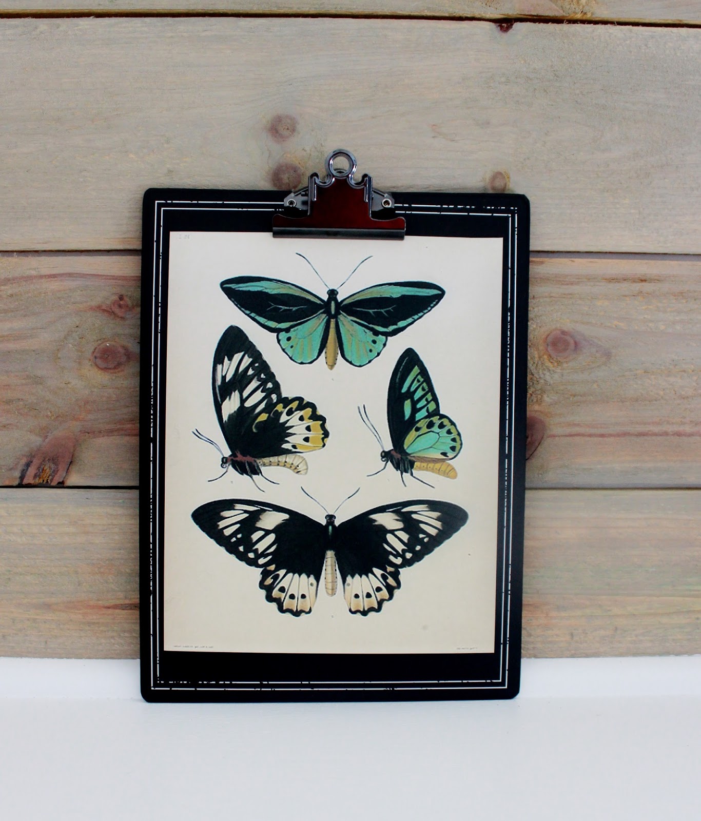 Where to Find Free & Inexpensive Vintage Images for Low Cost Wall Art