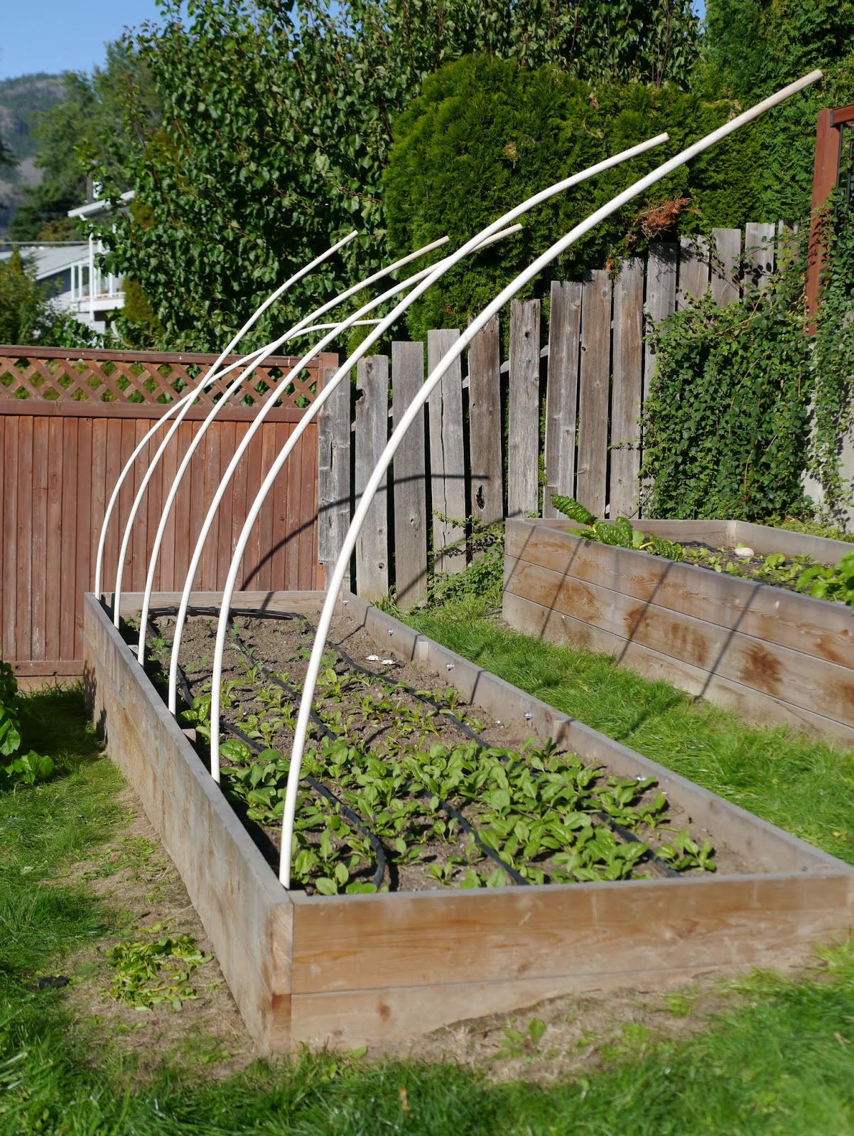 Building Hoop House for a Raised Garden Bed – Backwoods Mama