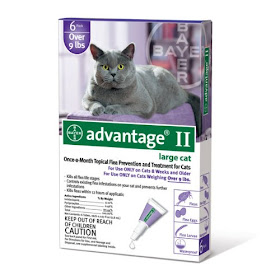 Animal Food Chain For Pet Supplies Bird Dog Best Flea Control