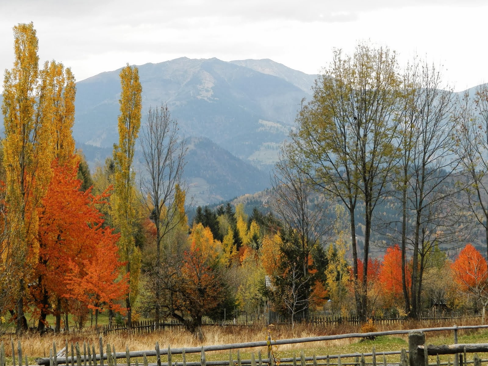 BORȘA - MARAMUREȘ