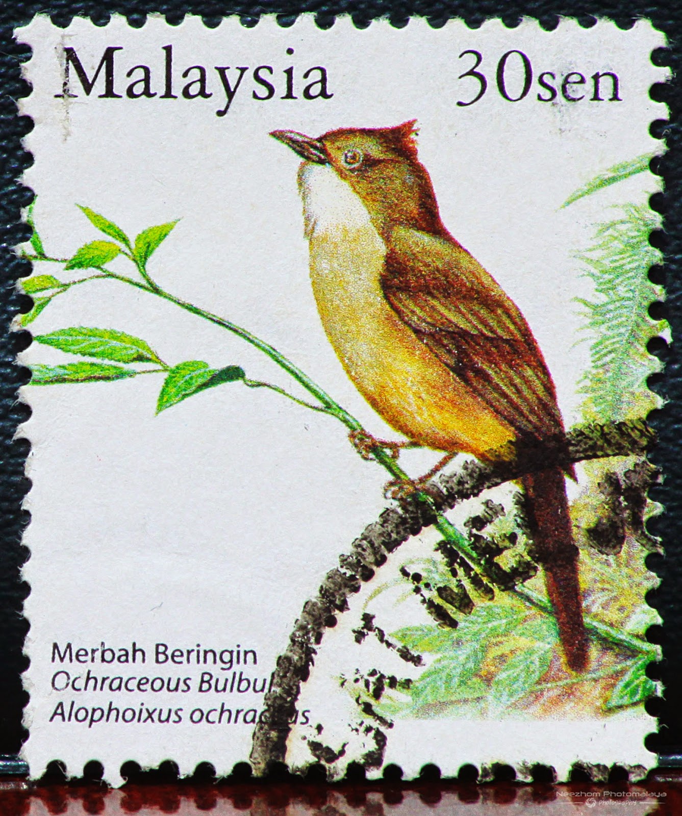 Malaysia Birds Stamps Stamps Gallery