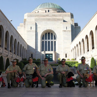 Australian-army-dogs-and-handlers