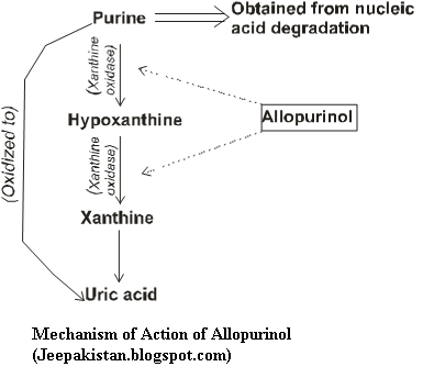 allopurinol mechanism of action pdf