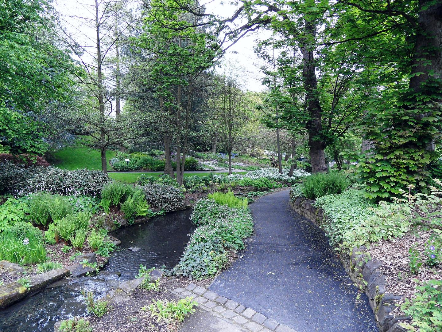 Dannysbirds Lister Park,Bradford