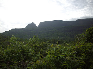 View from Thakurwadi Village.(Sunday 1-7-2012).