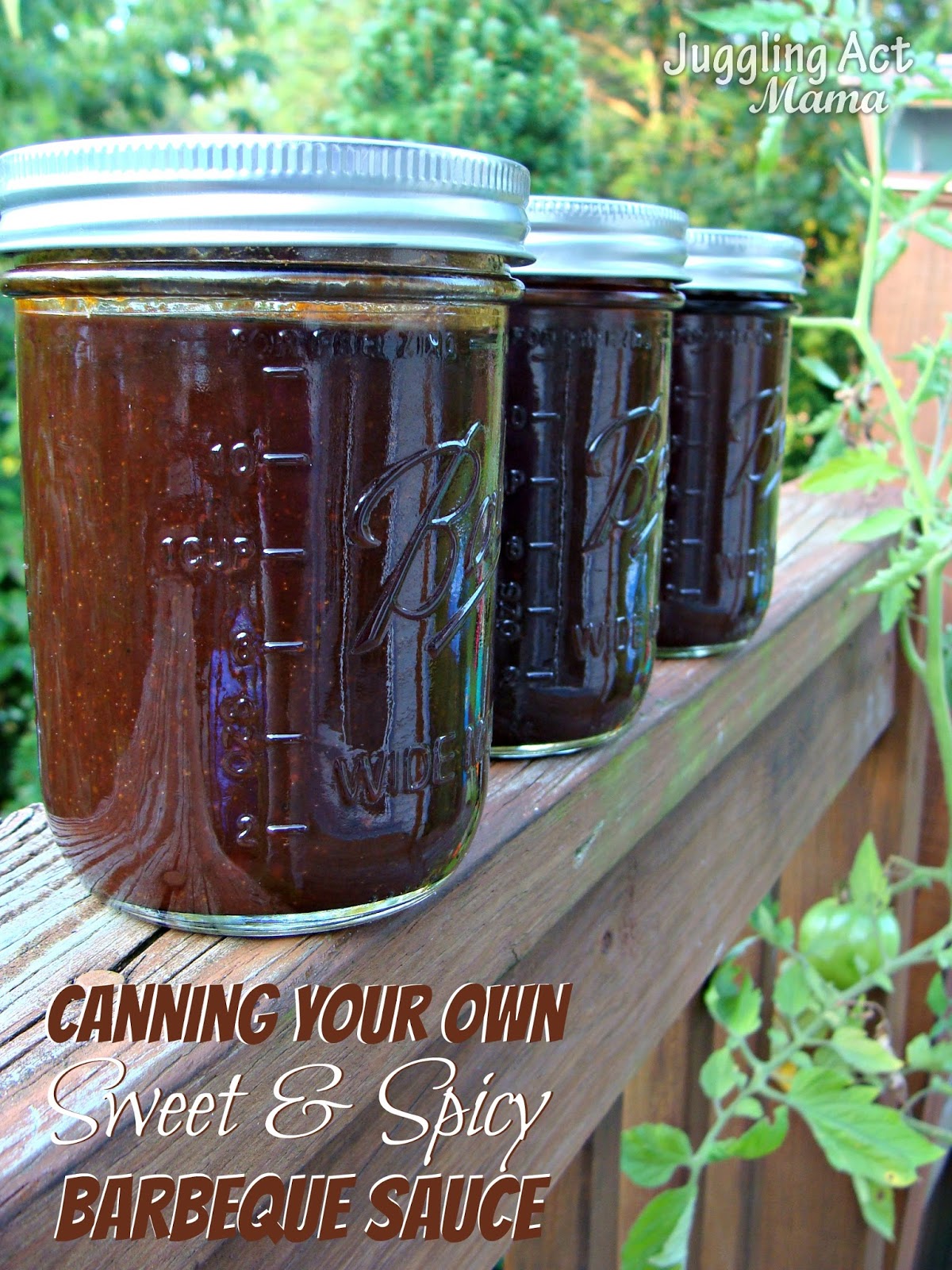 How to Can Your Own Sweet & Spicy Barbecue Sauce with Free Printable