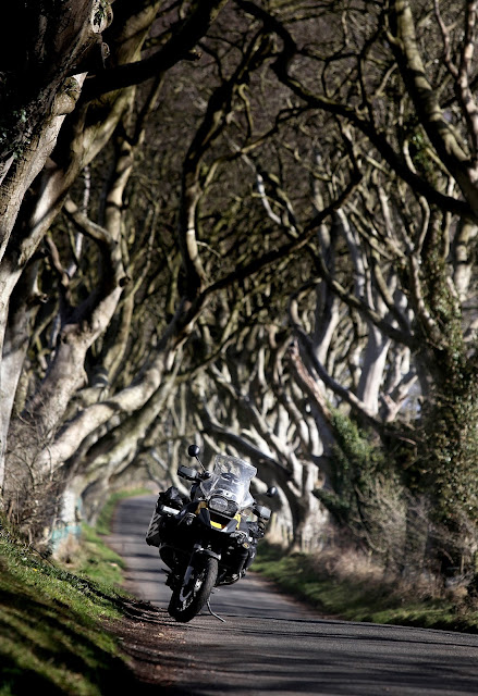 R1200gs Motorbike in Dark Hedges R1200gs Motorbike in Dark Hedges
