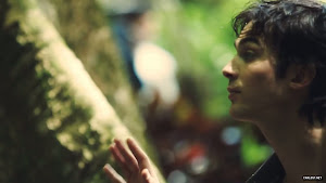 Ian Somerhalder