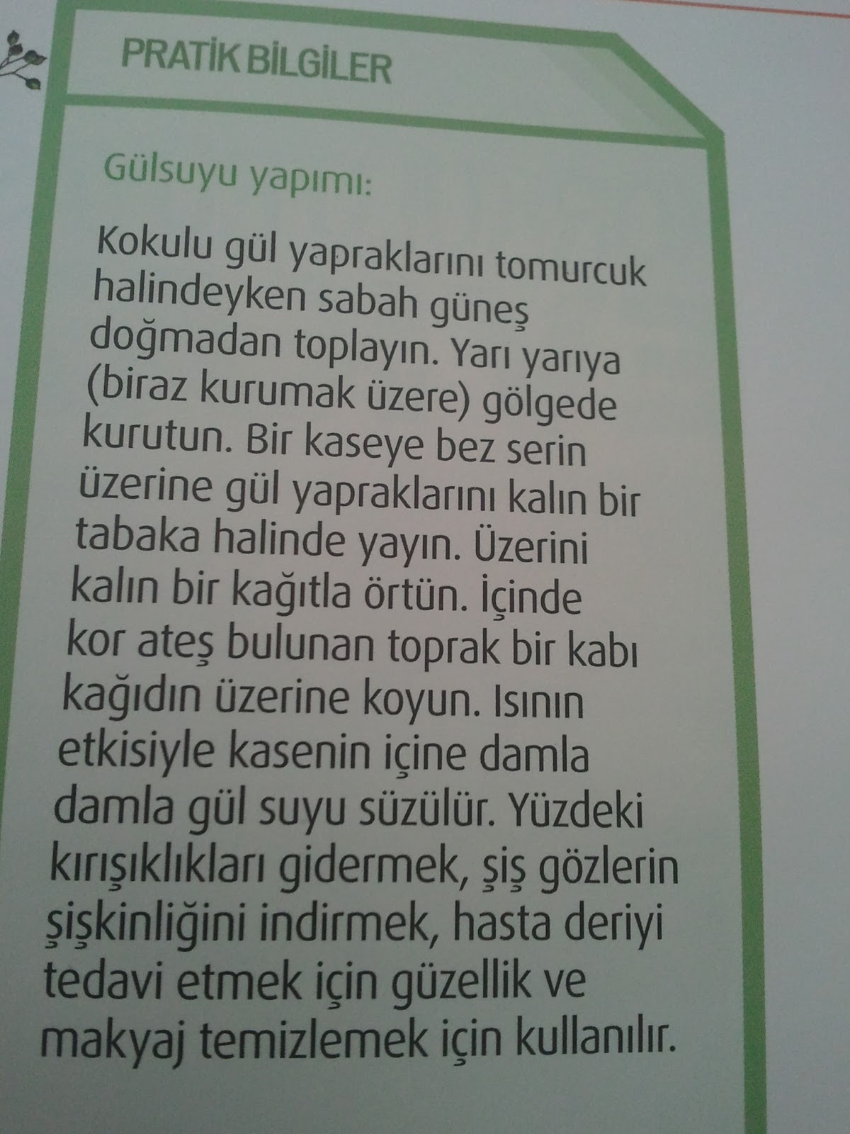 Kahve Tadında… Cilt Bakımı İçin Gül Suyu