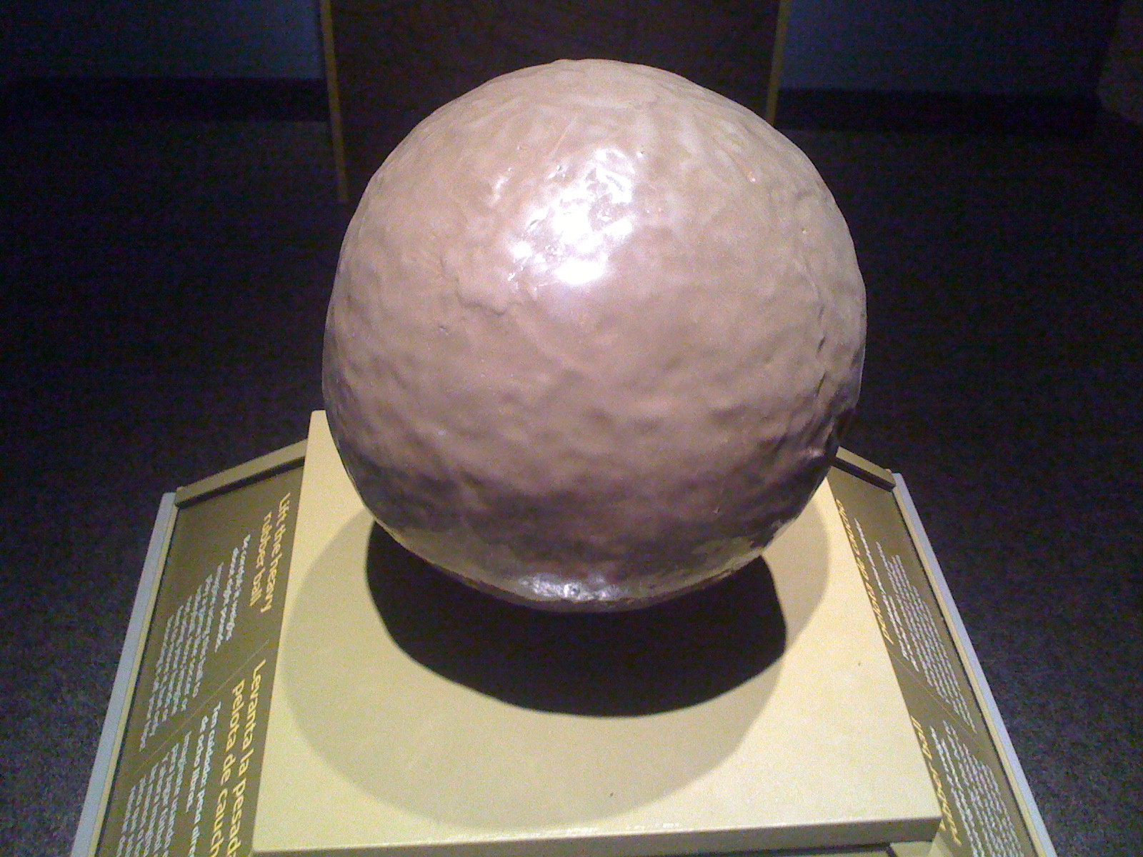 The Ancient Bookshelf The Ancient Maya invade Minnesota