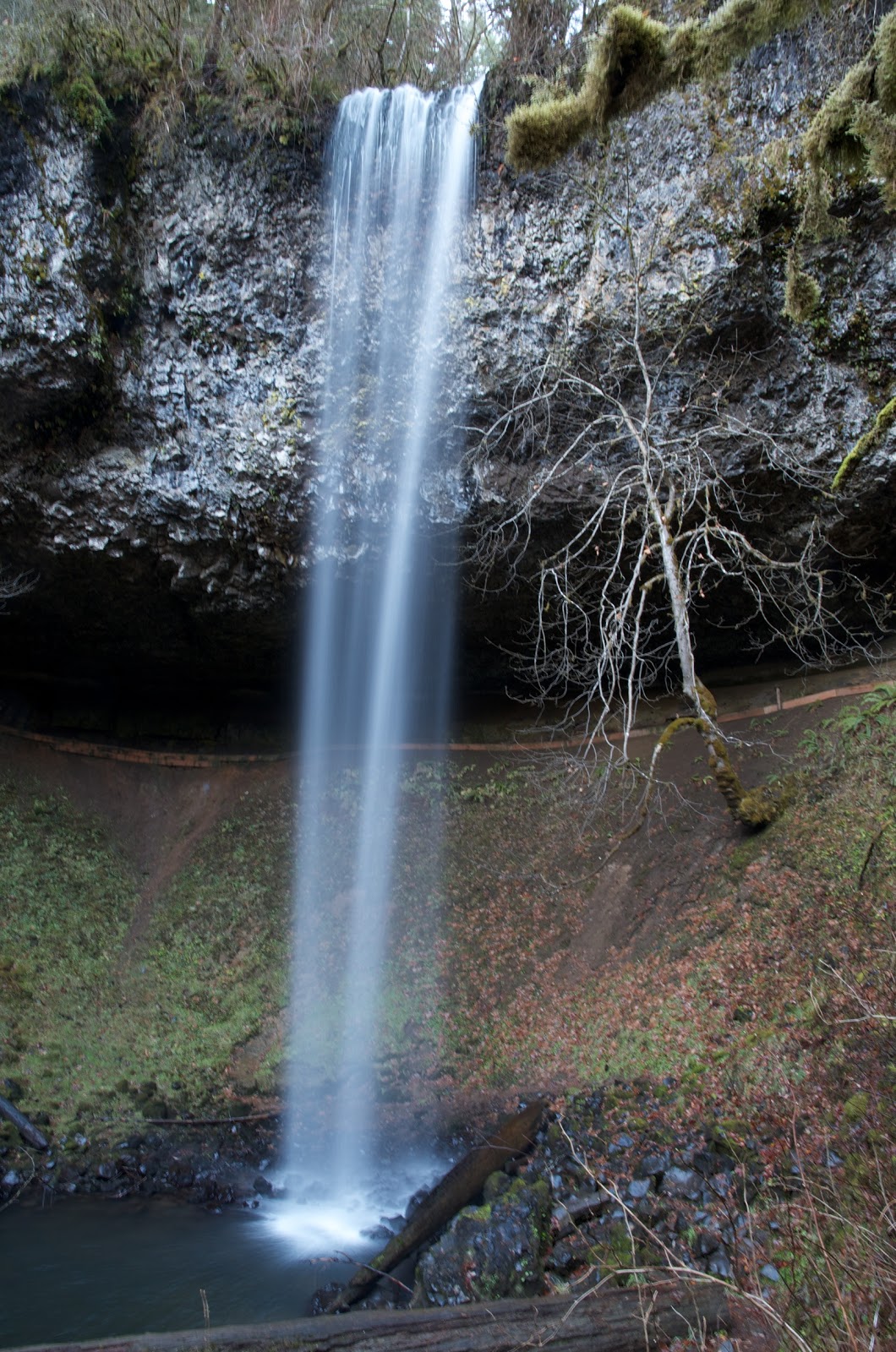The Life and Travels of The Ellingers Shellburg & Stassel Falls