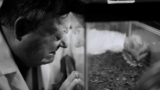 human centipede 2 uncut barbed wire scene xvideo