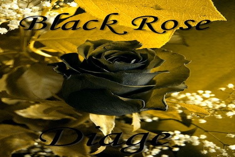 BLACK ROSE