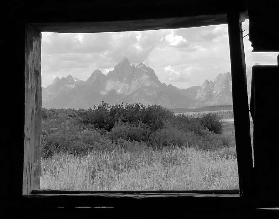 The Picture Frame