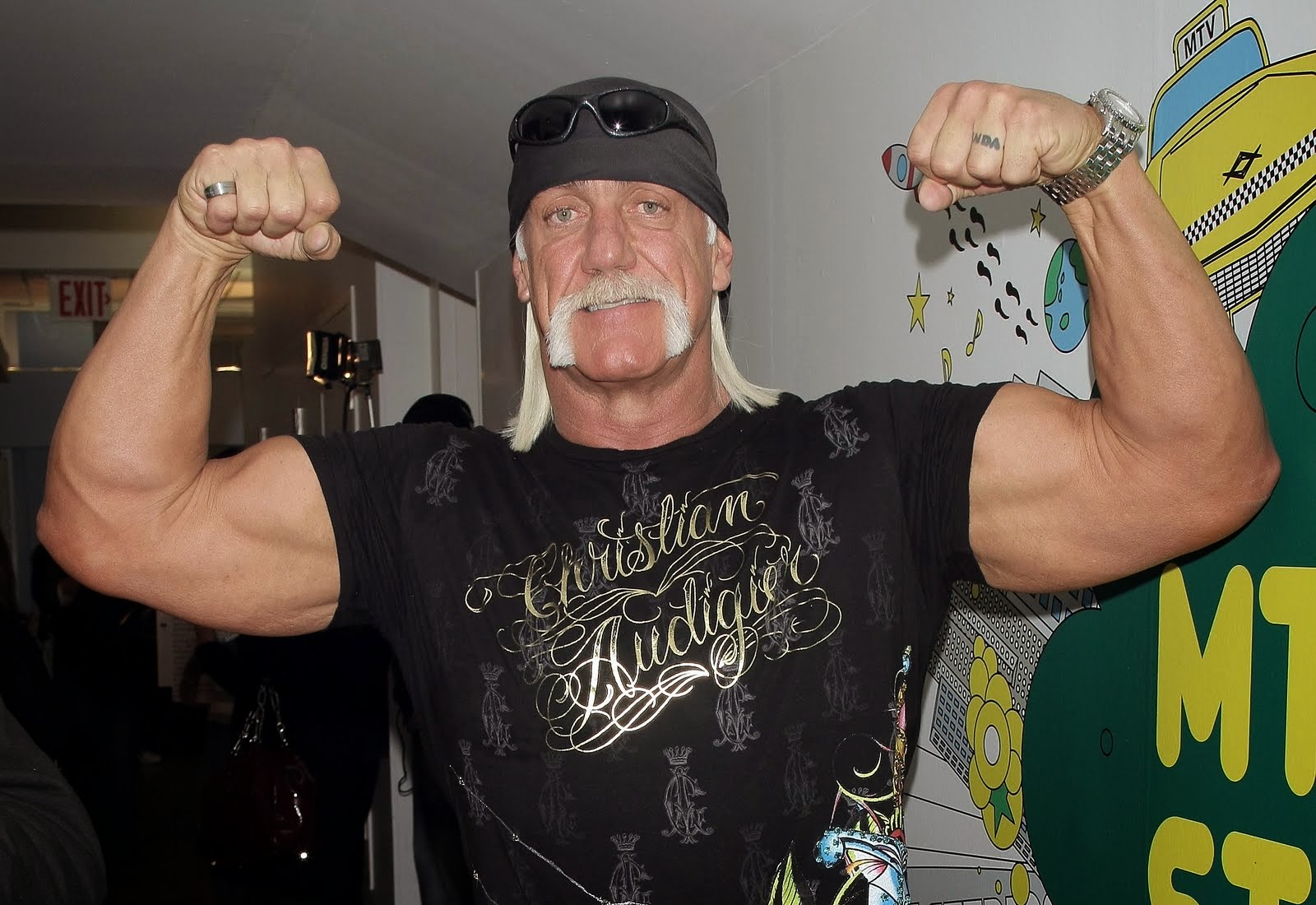 free download wwe zk19