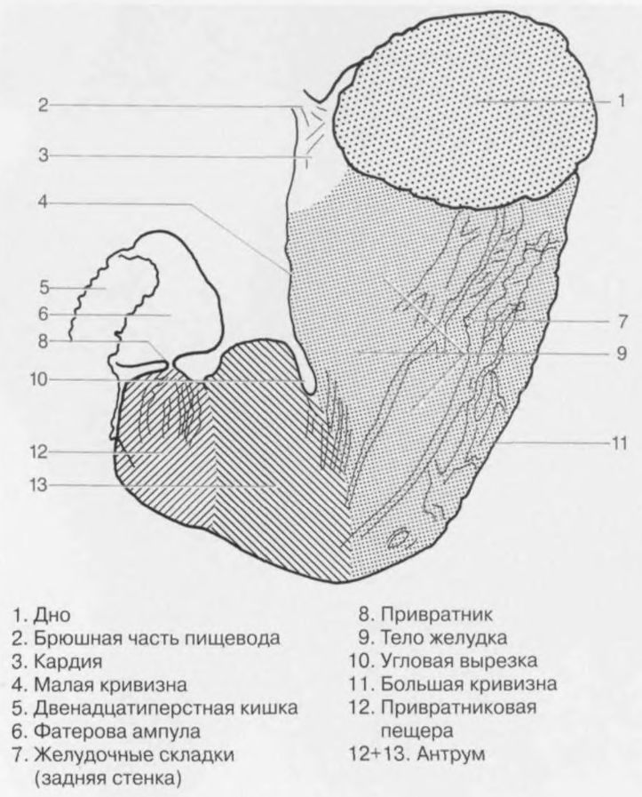 Мелодия вместо гудка на Билайне Массаж по точкам и каналам Салон китайского массажа "Dao Spa"