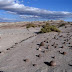 Ischigualasto Provincial Park Valle de La Luna is a clay formation with a great variety of colors and shapes.