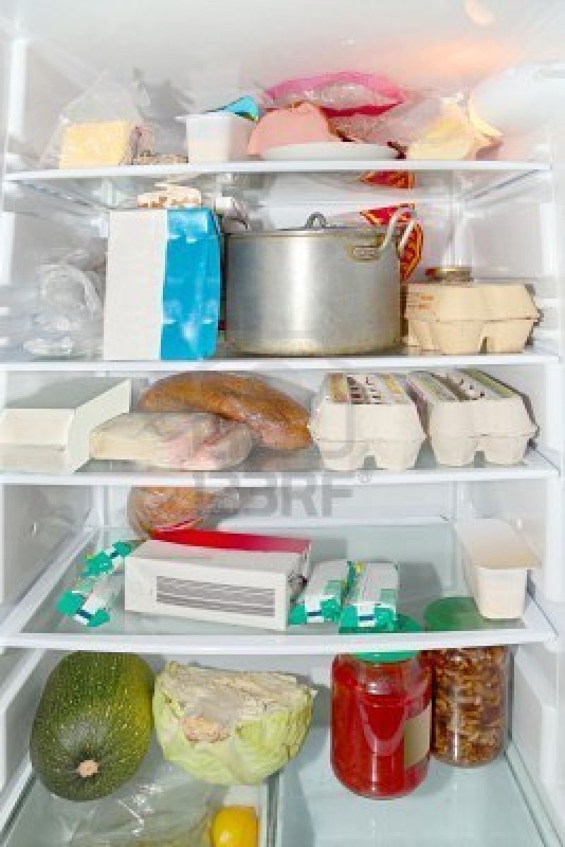 Mia's Domain Beware of Raw Vegetables Could your Fridge KILL YOU?