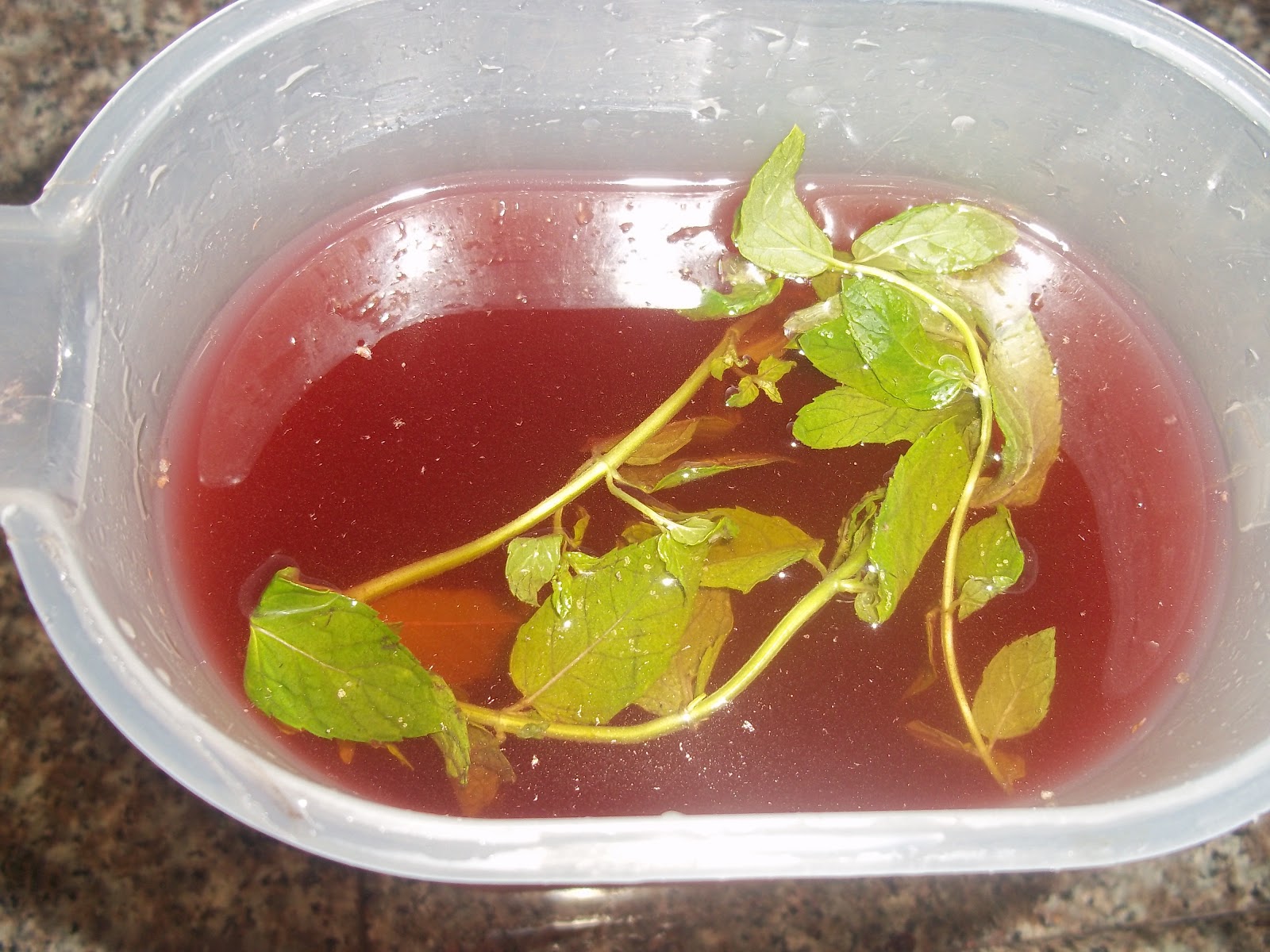 Sumac Lemonade Recipe A Sweet and Sour Foraged Drink and Sumac Juice