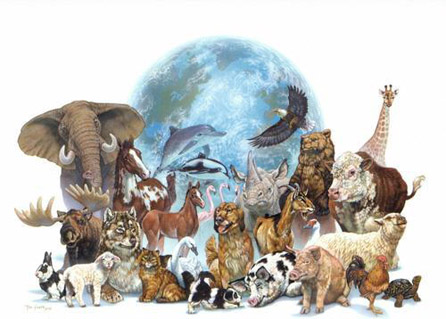 Animal extinction essay