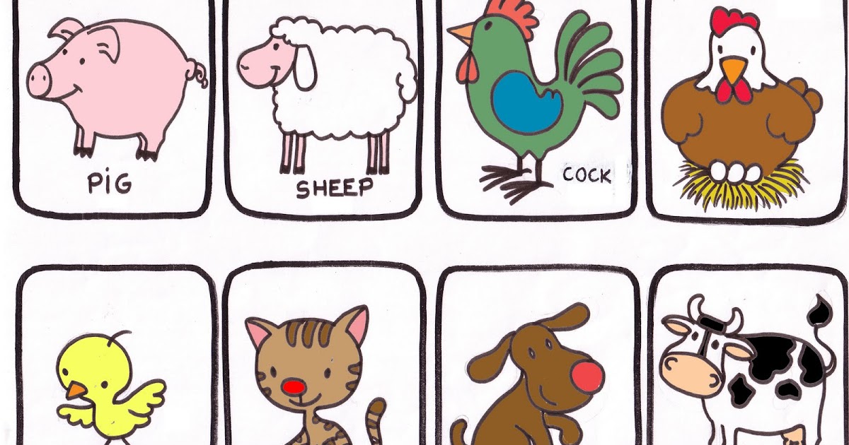 PREPARADOR CLASE II Animals in English