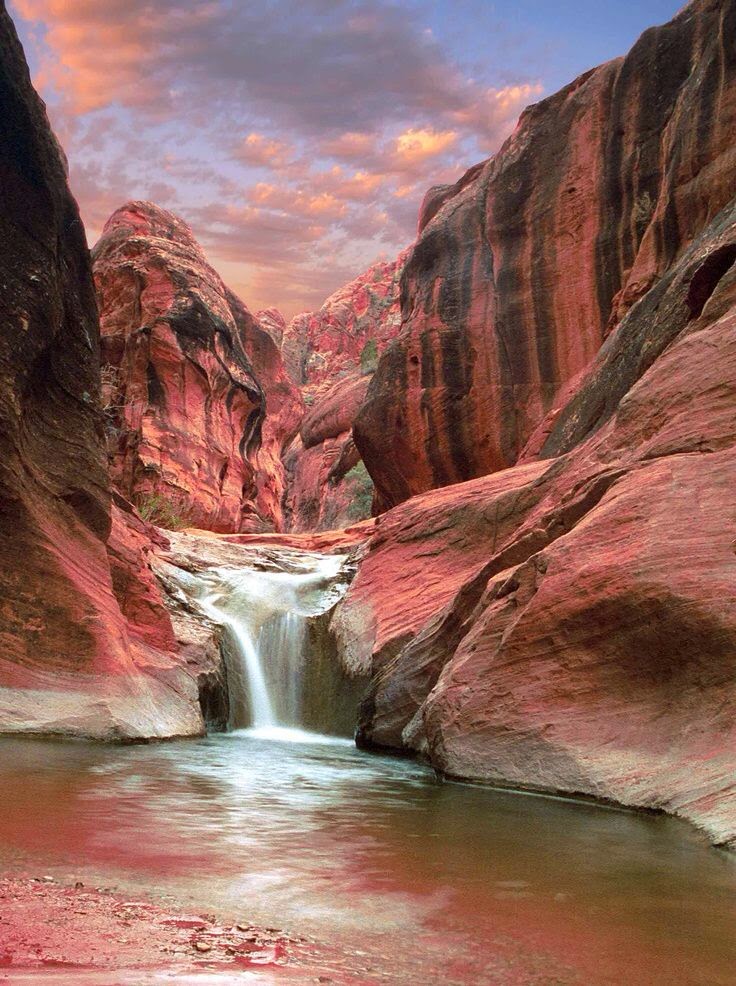 Red Cliffs, Utah Red Cliffs, Utah