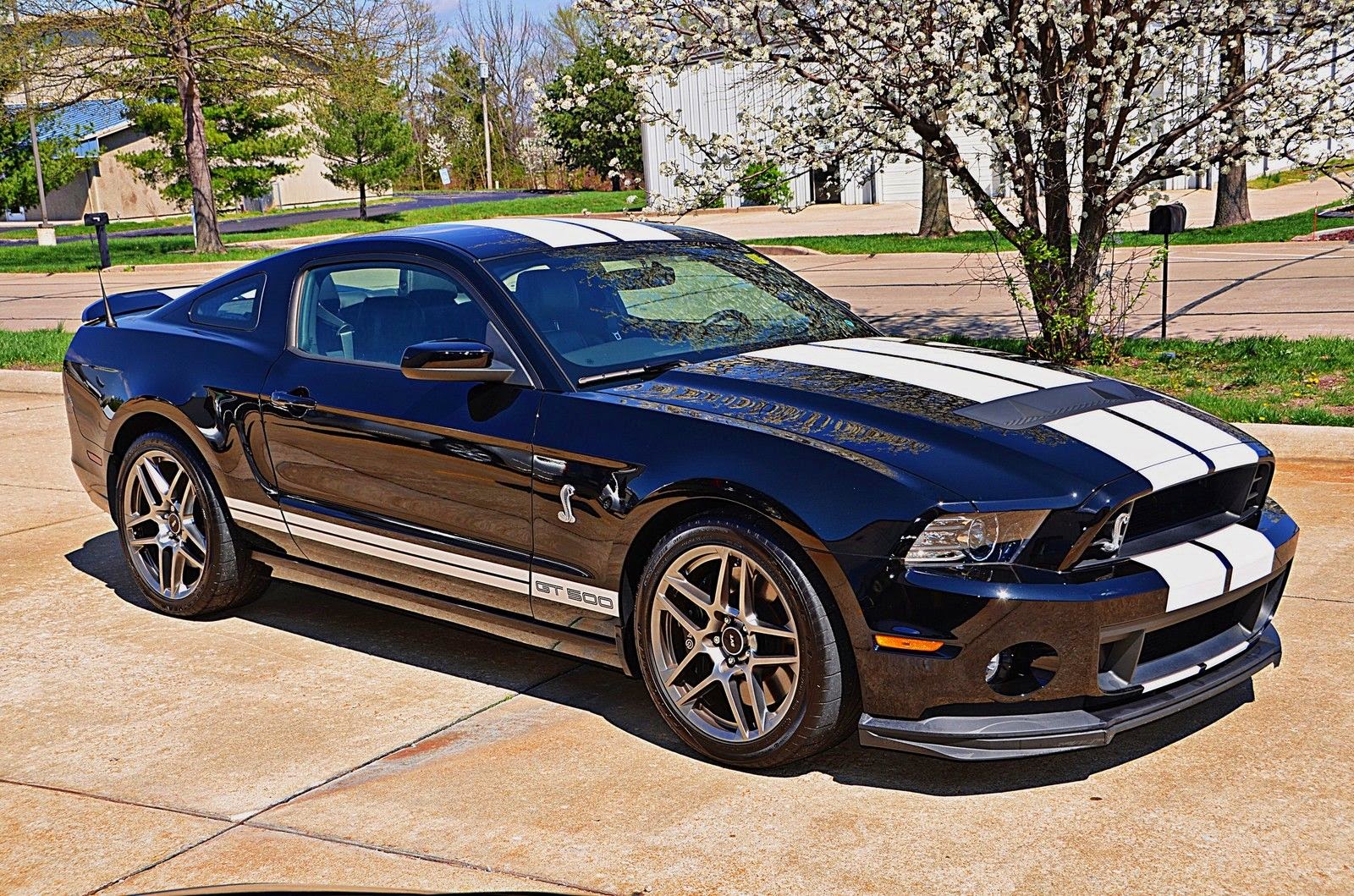 2013 Ford Shelby Mustang GT500 Cobra