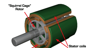 Electrical Fundamentals: INDUCTION MOTOR