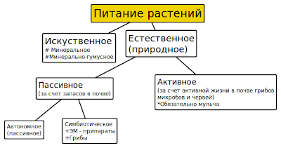 Посадка ремонтантной малины природное земледелие. %D0%9F%D0%B8%D1%82%D0%B0%D0%BD%D0%B8%D0%B5+%D1%80%D0%B0%D1%81%D1%82%D0%B5%D0%BD. Посадка ремонтантной малины природное земледелие фото. Посадка ремонтантной малины природное земледелие-%D0%9F%D0%B8%D1%82%D0%B0%D0%BD%D0%B8%D0%B5+%D1%80%D0%B0%D1%81%D1%82%D0%B5%D0%BD. картинка Посадка ремонтантной малины природное земледелие. картинка %D0%9F%D0%B8%D1%82%D0%B0%D0%BD%D0%B8%D0%B5+%D1%80%D0%B0%D1%81%D1%82%D0%B5%D0%BD. Слова автора: Для берета лучше выбрать тонкую нить, я вязала из Vita Brilliant. Диаметр моего доны.