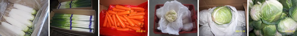 Chinese Vegetables