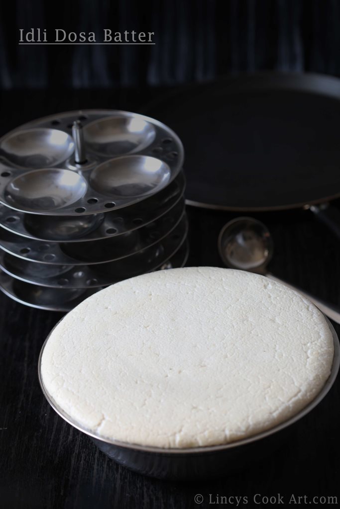 Idli Dosa Batter RecipeTips and Tricks Lincy's Cook Art
