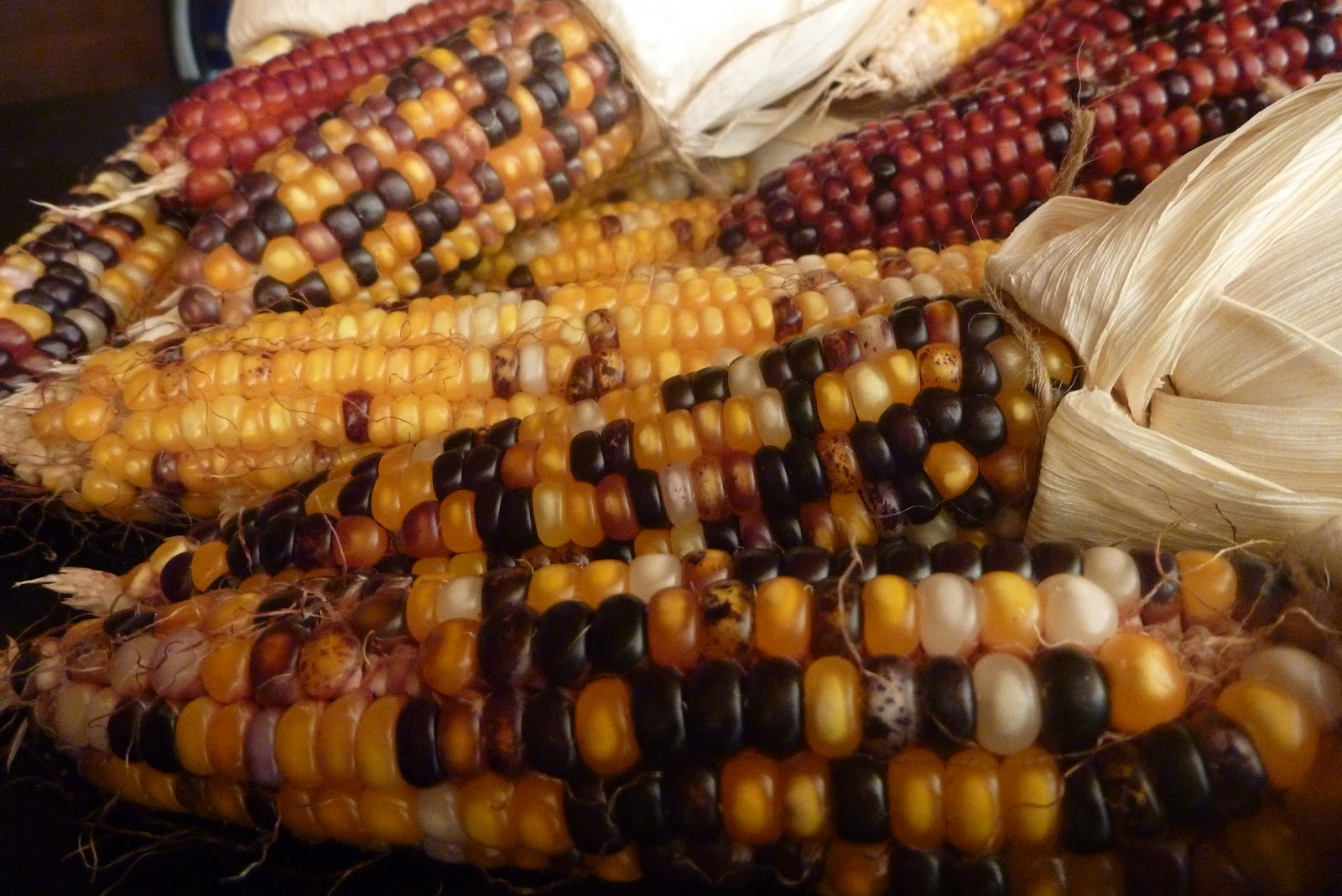 Mudflower Glass Bead Corn