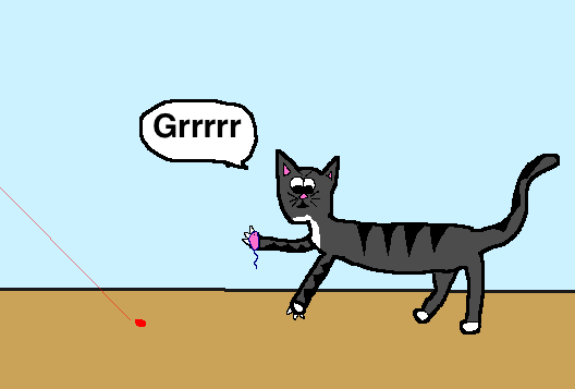 Cat Won T Stop Meowing And Won T Come In Cat Won T Stop Meowing And Won T Come In
